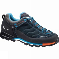 Salewa Womens Mountain Trainer GTX Shoe Carbon / Pagoda